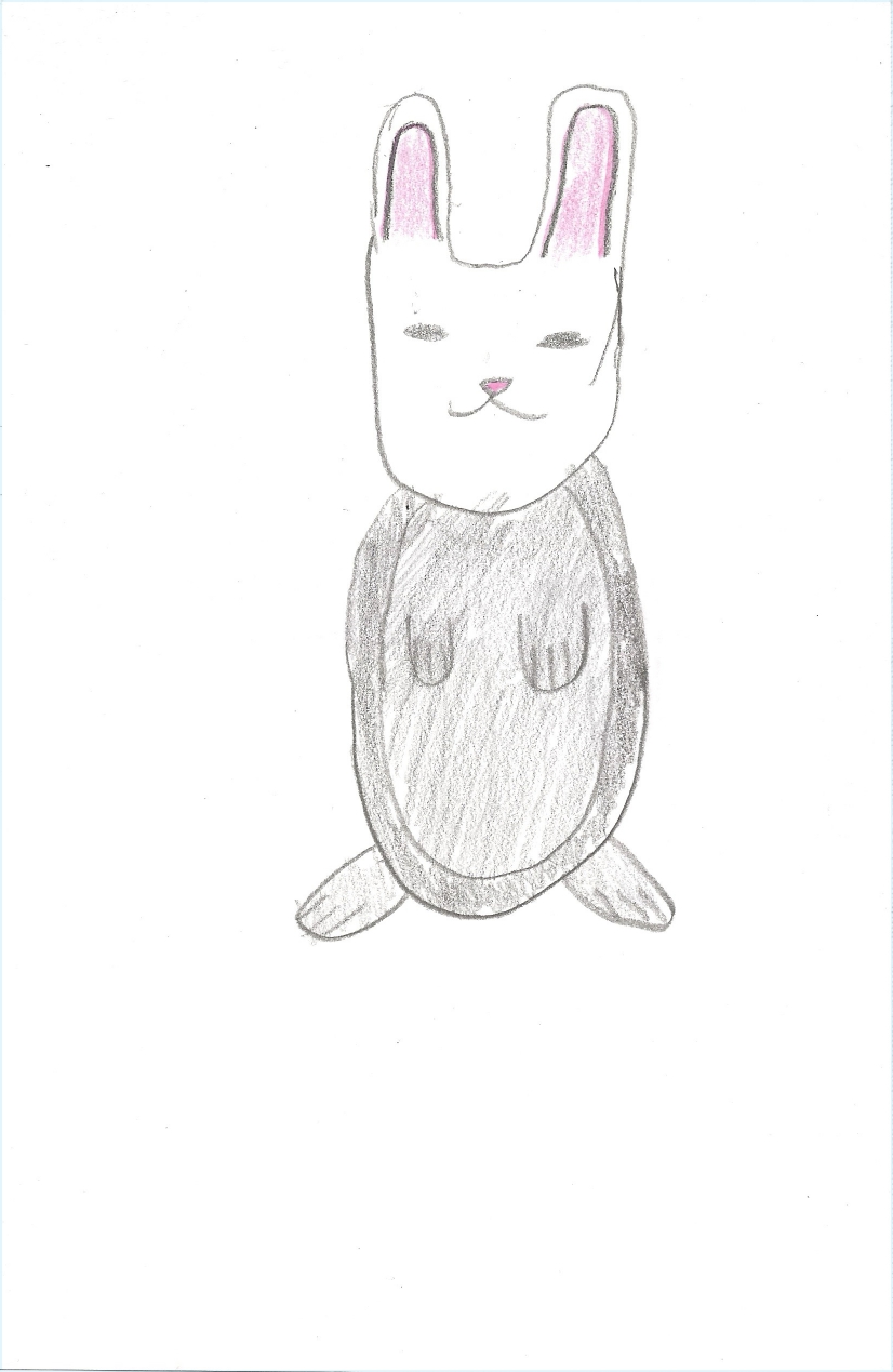 Rabbit