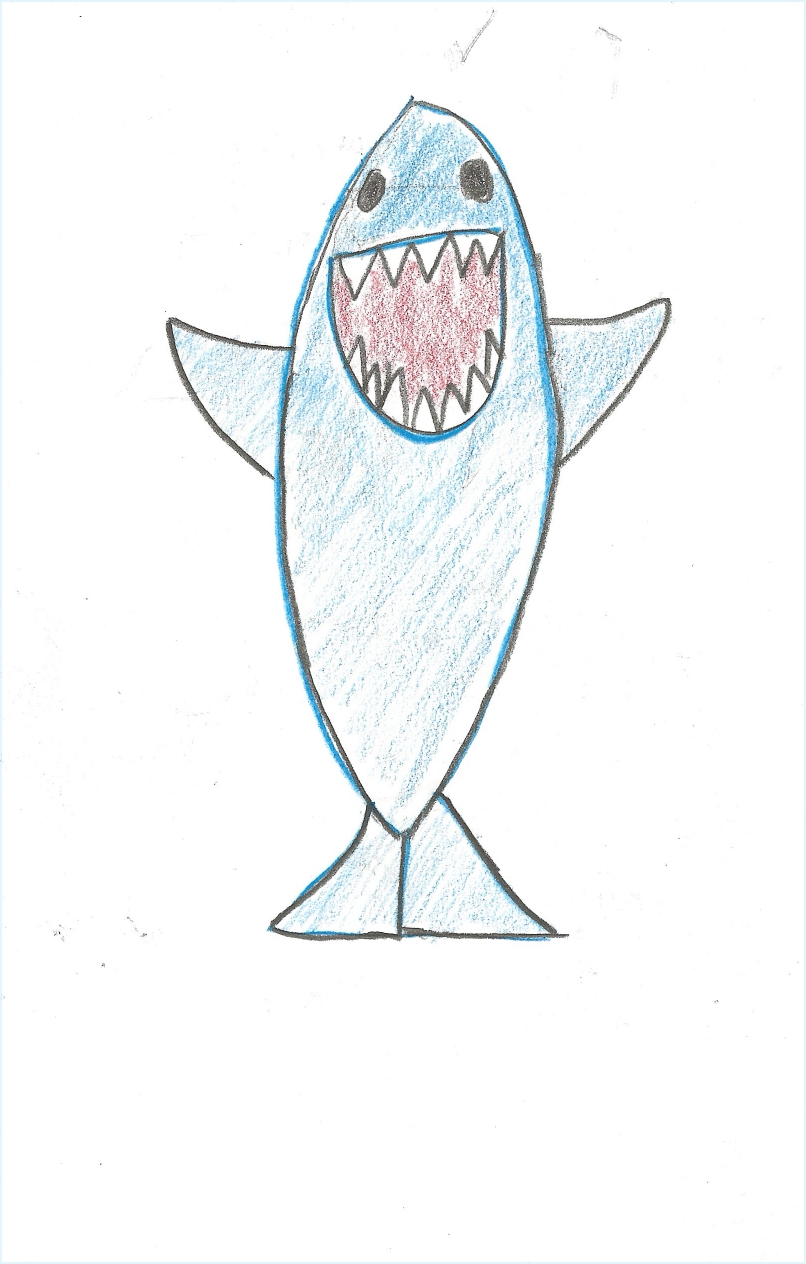 Shark
